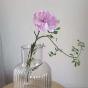りー(⁠✯⁠ᴗ⁠✯⁠)の画像