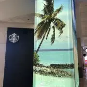 ♠️OHANA♠️プロフ要確認の画像