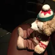 ともこ