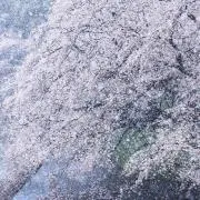 ［プロフ確認お願いします］の画像