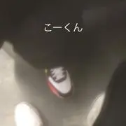 こうくんの画像
