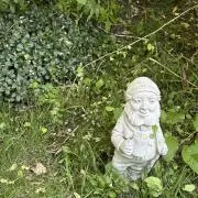 りんぴの画像