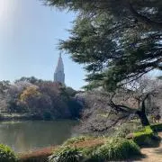 くーちゃんの画像