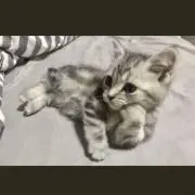 みづきの画像