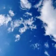 Ankoの画像