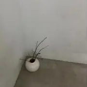 さざなみの画像