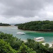 しーだの画像