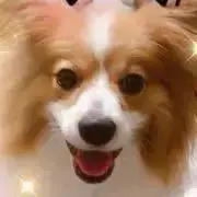 ロア坊の画像