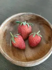 おはなの画像