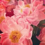 ✿Y✿profileを必読くださいの画像