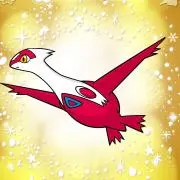 テール