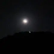 らにの画像