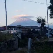 ヒラメちゃん