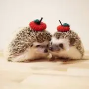 mrの画像