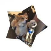 タニヤスの画像