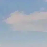 Tの画像
