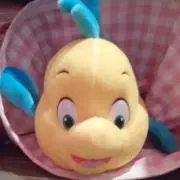 フランダー⚓️の画像