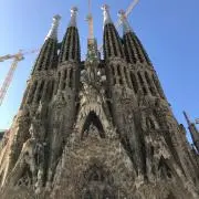 ボニア プロフ確認お願いしますの画像