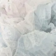sの画像