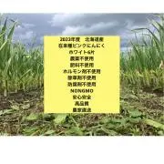 REDSPIRITの画像