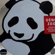 てんの画像