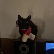 よよよの画像