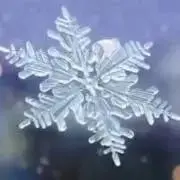 snowcrystalの画像