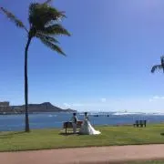 ナツメグの画像