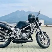 すいか泥棒
