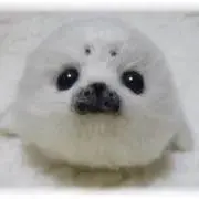 payashy