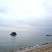 Halの画像