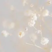 bibi＊希望価格相談OK◎の画像