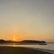 ゆの画像