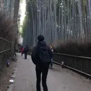 Yshdの画像