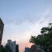 【お気軽にコメントください！】pの画像