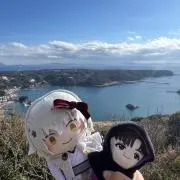 れーちゃの画像