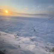 Mochaの画像