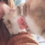 ✳︎たろまる✳︎の画像