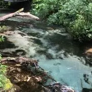 えーまーの画像