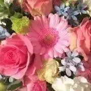 sky blue☺︎の画像