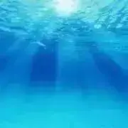 裏住人の画像