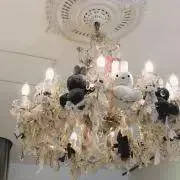 す んの画像