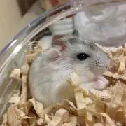 いた丸☆
