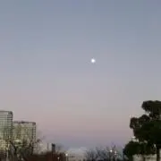 みかんの画像