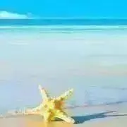 すーたんの画像