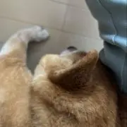 ベン君