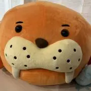 せちまるの画像