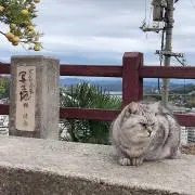 muの画像