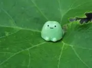 あびすプロフ必読！の画像