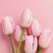 KTの画像